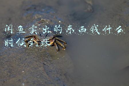 闲鱼卖出的东西钱什么时候到账