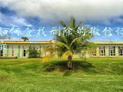 如何查找删除的微信记录