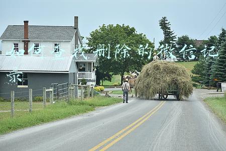 如何查找删除的微信记录