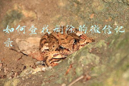 如何查找删除的微信记录