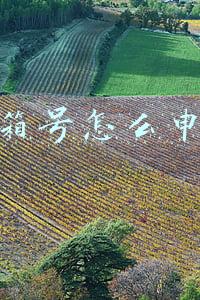 邮箱号怎么申请