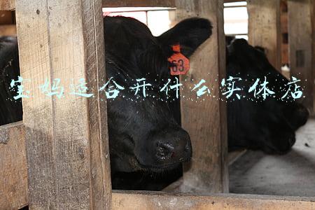 宝妈适合开什么实体店