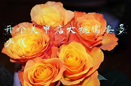 开美甲店需要多少钱(开美甲店需要多少钱)