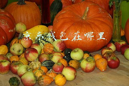 京东钱包在哪里