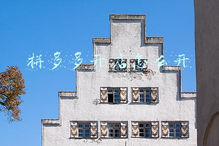 拼多多开店怎么开店(拼多多太难做？分享整套做店流程)