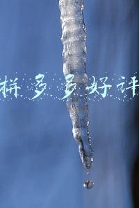 拼多多好评