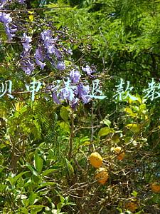花呗申请退款教程