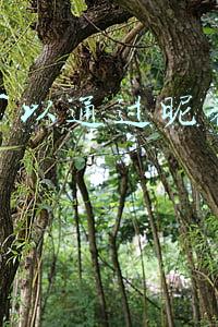 可以通过昵称添加微信好友吗(男子凭头像昵称错加好友被骗40万)