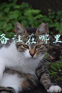 淘宝备注在哪里备注