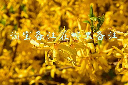 淘宝备注在哪里备注