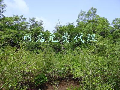 网店免费代理
