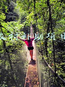 农村补助项目