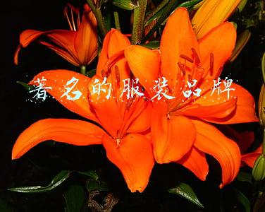 著名的服装品牌