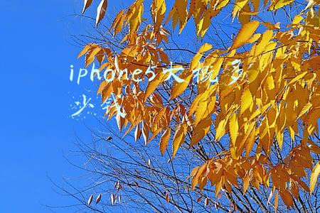 iphone5大概多少钱