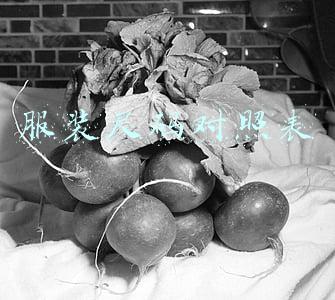 服装型号对照表(服装规格的形成)