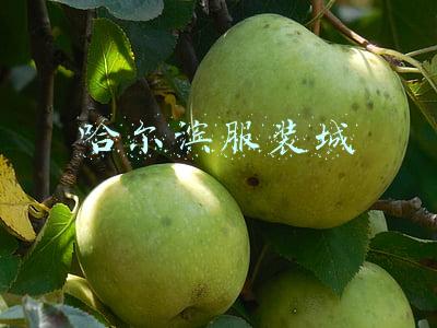 哈尔滨服装城