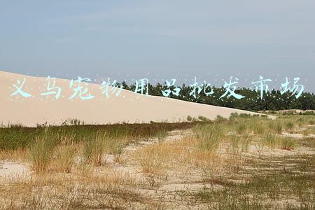 义乌宠物用品批发市场