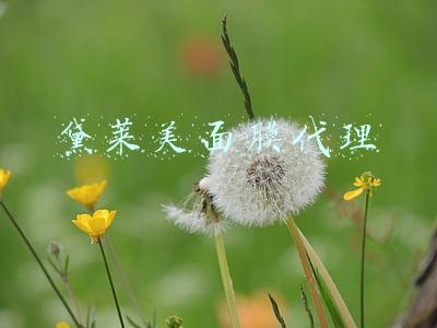 黛莱美面膜代理