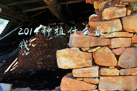 2014种植什么最赚钱
