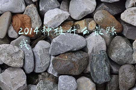2014种植什么最赚钱