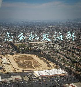 怎么批发海鲜