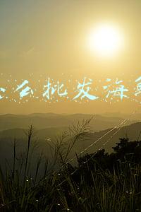 怎么批发海鲜