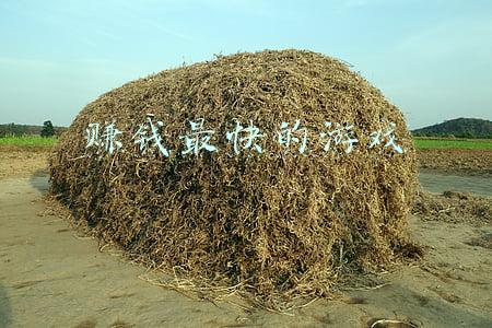 赚钱最快的游戏
