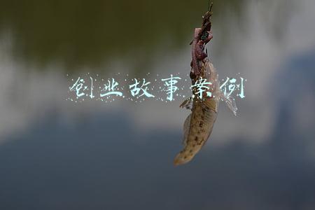创业故事案例