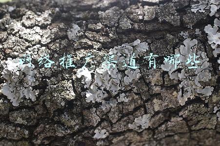 网络推广渠道有哪些