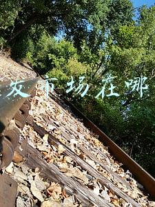 批发市场在哪里