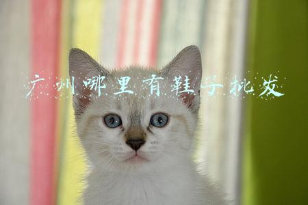 广州哪里有鞋子批发