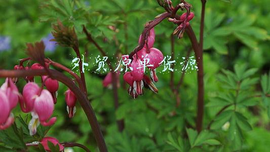 外贸原单货源