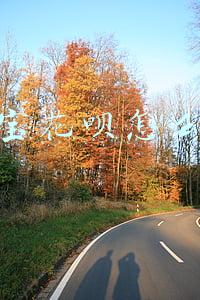 支付宝花呗怎么开通收款(小商贩经营技巧——如何获取花呗收款二维码？)