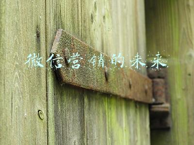 微信营销的未来