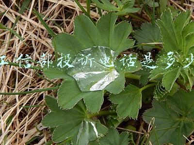 工信部投诉电话是多少