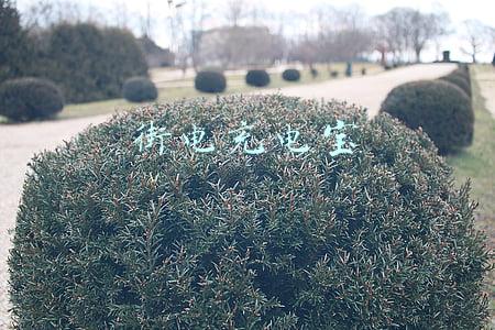 街电充电宝商家合作(怪兽上市、搜电街电合并，共享充电宝“疯涨”的钱，被商户赚走了)