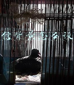 微信背景怎么设置