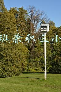 晚班兼职三小时