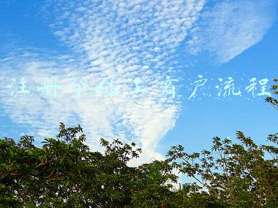 注册个体工商户流程