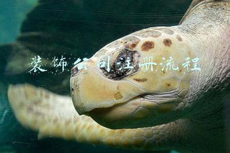 装饰公司注册流程