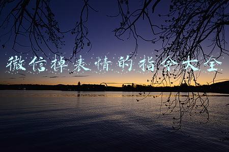 微信掉表情的指令大全