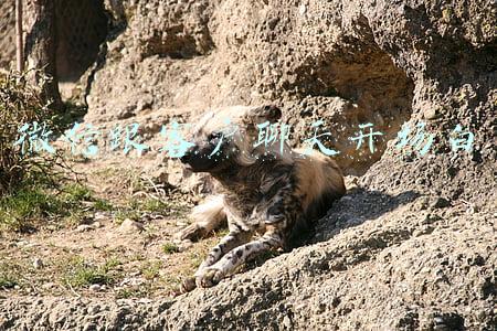 微信跟客户聊天开场白