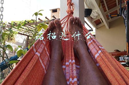 店招是什么