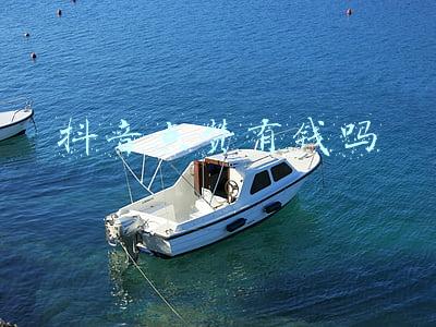 抖音点赞有钱吗