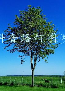 抖音路灯图片