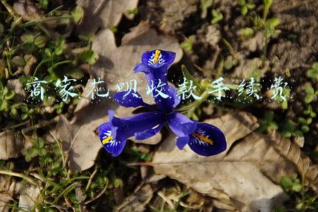 商家花呗收款手续费怎么算的(用花呗收款，支付宝要抽掉几块到十几块不等的手续费，你怎么看？)