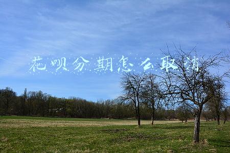 花呗分期怎么取消