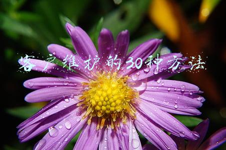 客户维护的30种方法