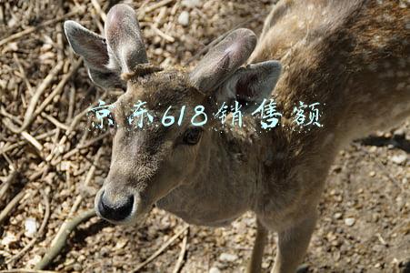 京东618销售额