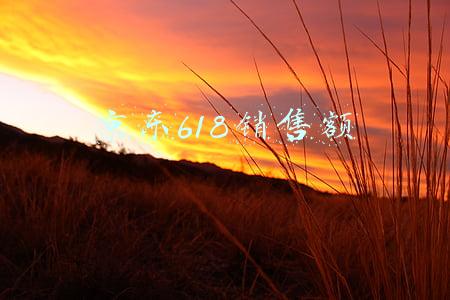 京东618销售额